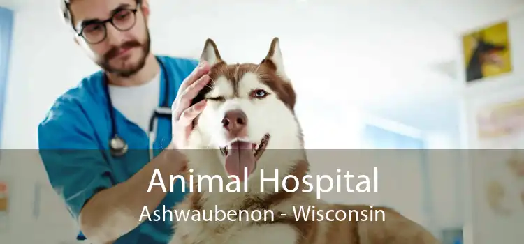 Animal Hospital Ashwaubenon - Wisconsin