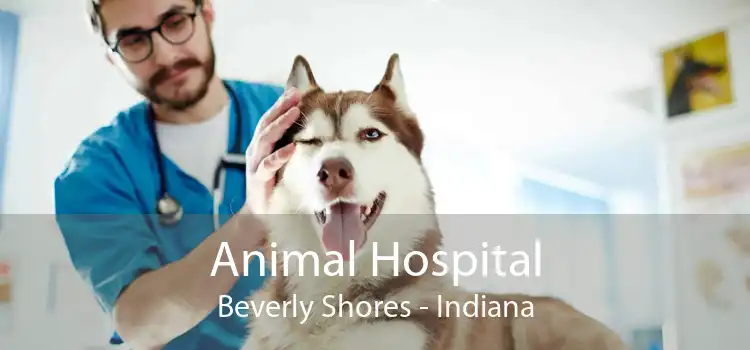Animal Hospital Beverly Shores - Indiana