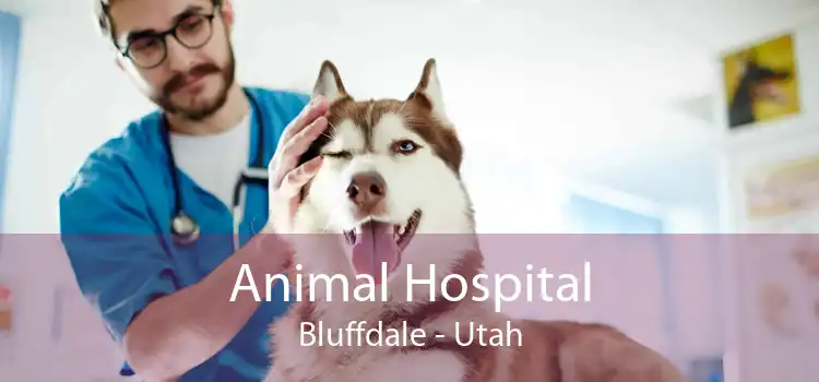 Animal Hospital Bluffdale - Utah