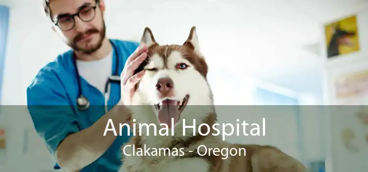 Animal Hospital Clakamas - Oregon