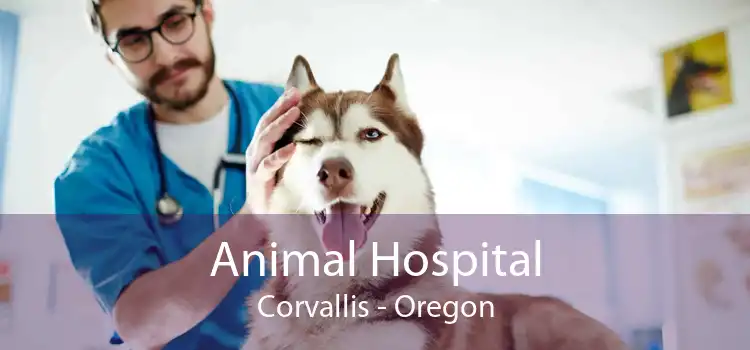 Animal Hospital Corvallis - Oregon