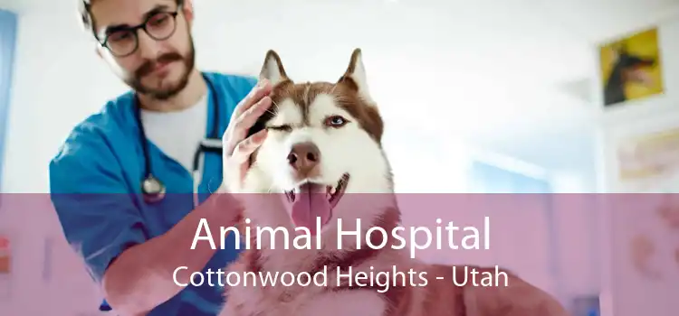 Animal Hospital Cottonwood Heights - Utah