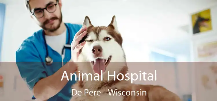 Animal Hospital De Pere - Wisconsin