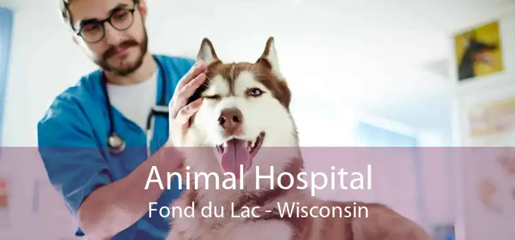 Animal Hospital Fond du Lac - Wisconsin
