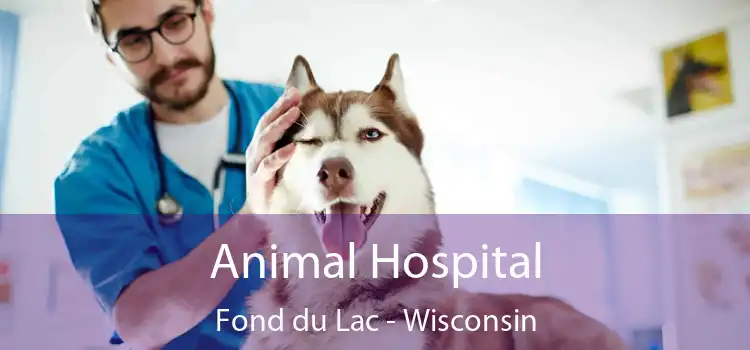 Animal Hospital Fond du Lac - Wisconsin