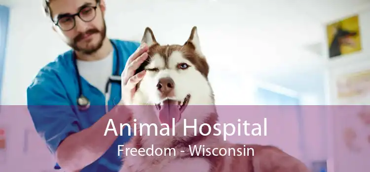 Animal Hospital Freedom - Wisconsin