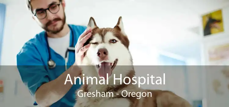 Animal Hospital Gresham - Oregon