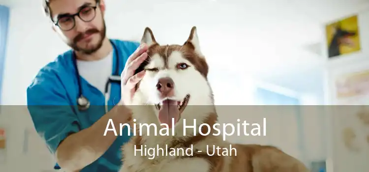 Animal Hospital Highland - Utah
