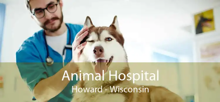 Animal Hospital Howard - Wisconsin