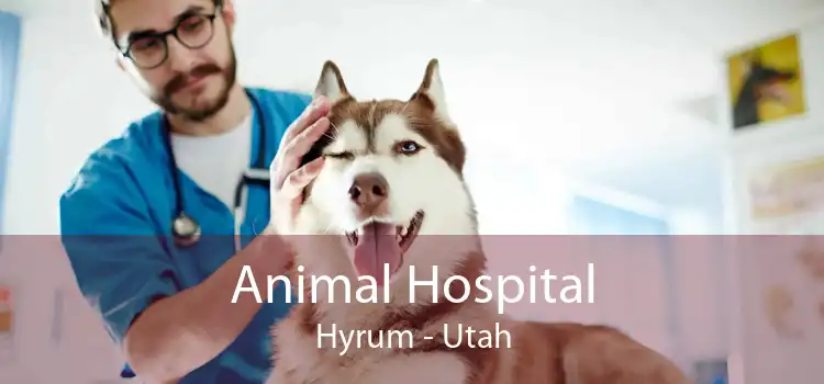 Animal Hospital Hyrum - Utah