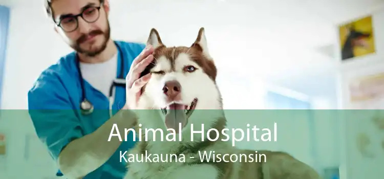 Animal Hospital Kaukauna - Wisconsin