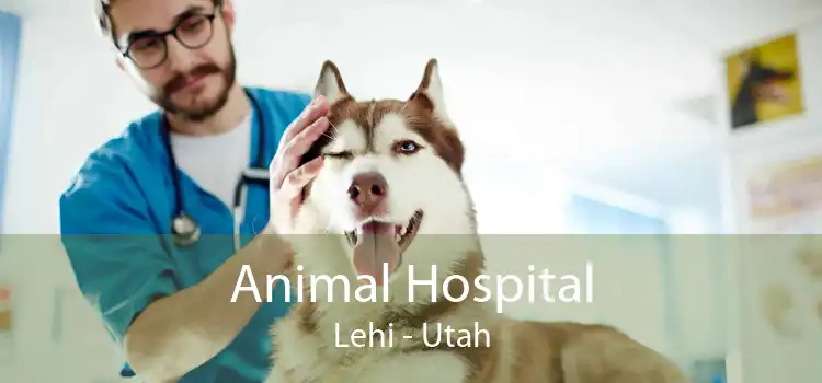 Animal Hospital Lehi - Utah