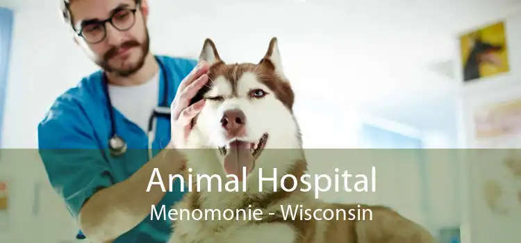 Animal Hospital Menomonie - Wisconsin
