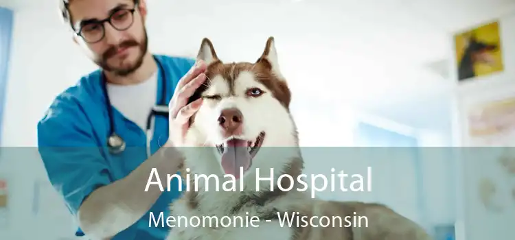 Animal Hospital Menomonie - Wisconsin