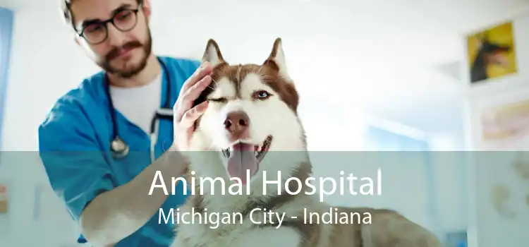 Animal Hospital Michigan City - Indiana