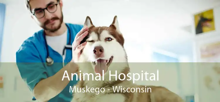 Animal Hospital Muskego - Wisconsin