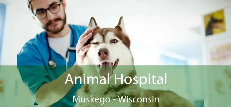 Animal Hospital Muskego - Wisconsin