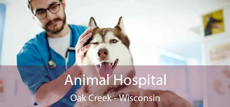 Animal Hospital Oak Creek - Wisconsin