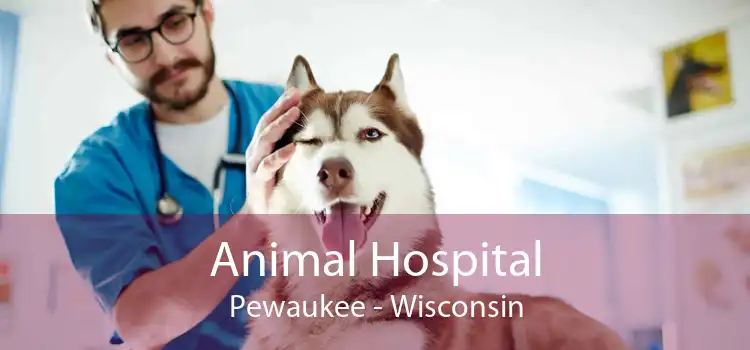 Animal Hospital Pewaukee - Wisconsin