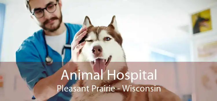 Animal Hospital Pleasant Prairie - Wisconsin