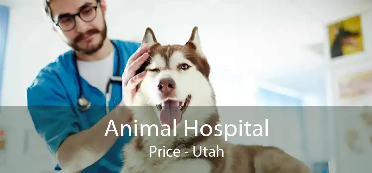 Animal Hospital Price - Utah