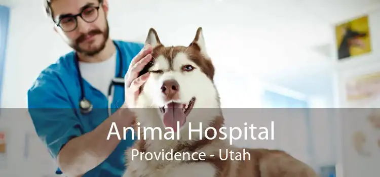 Animal Hospital Providence - Utah