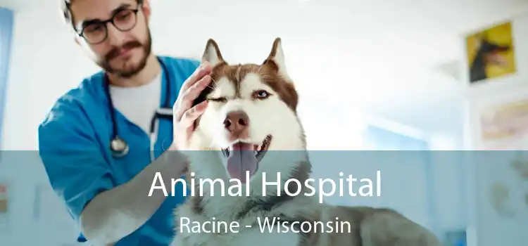 Animal Hospital Racine - Wisconsin