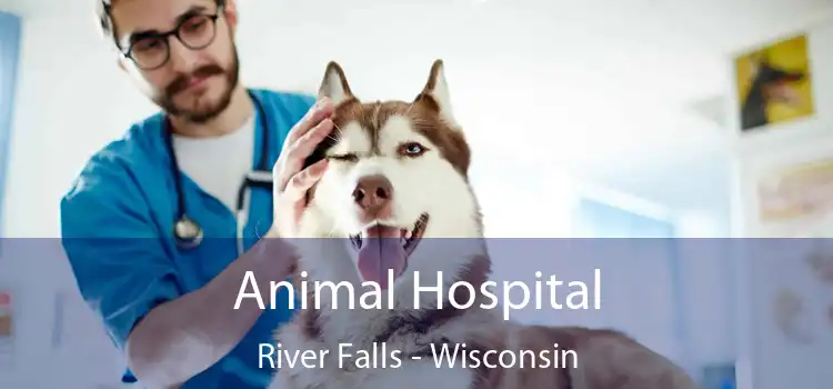 Animal Hospital River Falls - Wisconsin