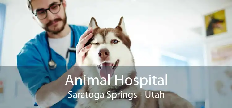 Animal Hospital Saratoga Springs - Utah