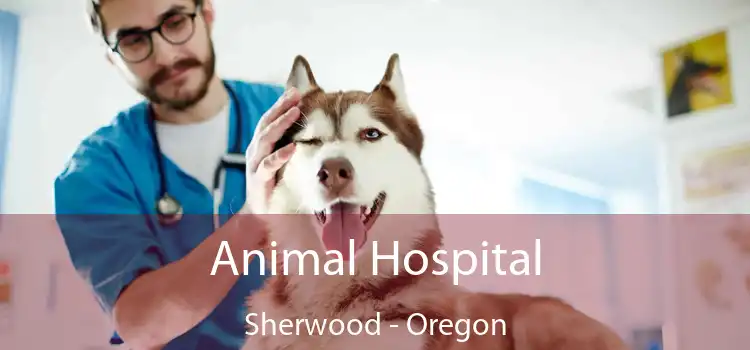 Animal Hospital Sherwood - Oregon