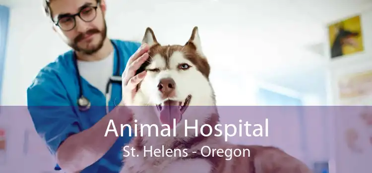 Animal Hospital St. Helens - Oregon