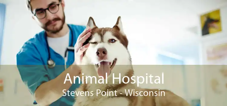 Animal Hospital Stevens Point - Wisconsin