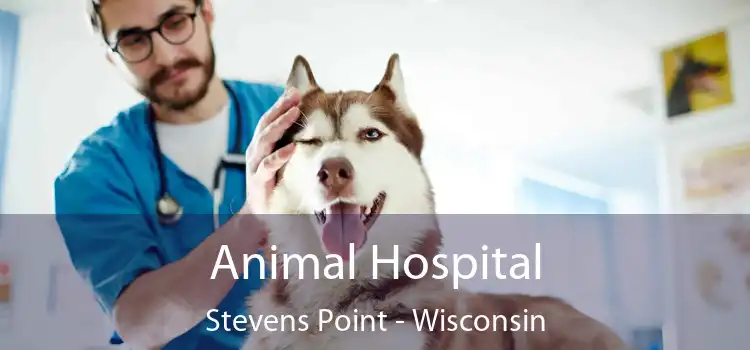 Animal Hospital Stevens Point - Wisconsin