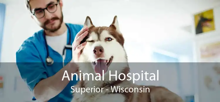 Animal Hospital Superior - Wisconsin