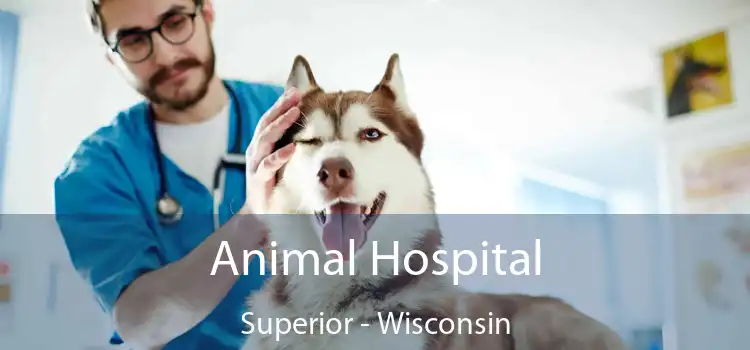 Animal Hospital Superior - Wisconsin