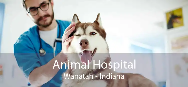 Animal Hospital Wanatah - Indiana