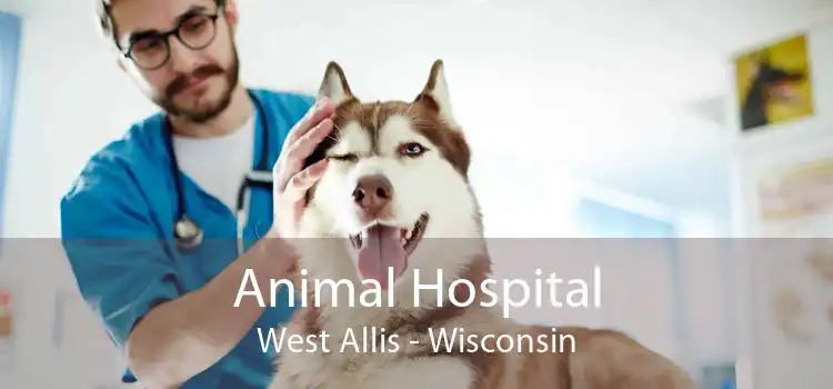 Animal Hospital West Allis - Wisconsin
