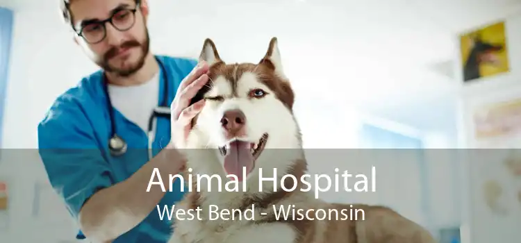Animal Hospital West Bend - Wisconsin