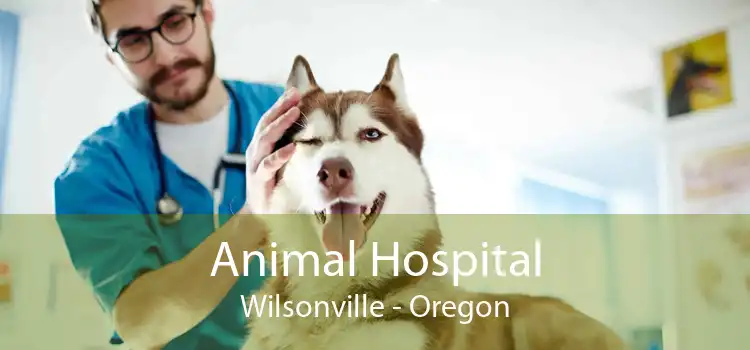 Animal Hospital Wilsonville - Oregon