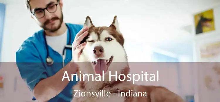 Animal Hospital Zionsville - Indiana