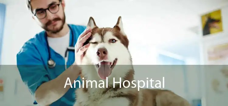 Animal Hospital