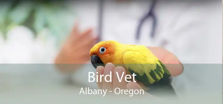 Bird Vet Albany - Oregon