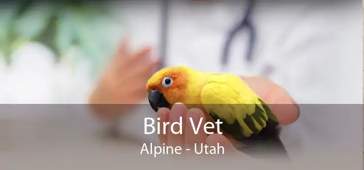 Bird Vet Alpine - Utah