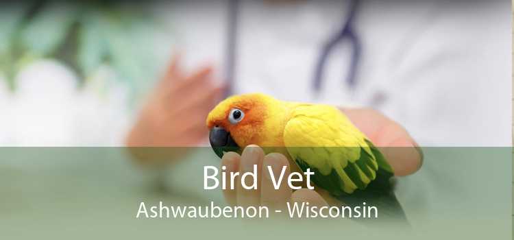 Bird Vet Ashwaubenon - Wisconsin