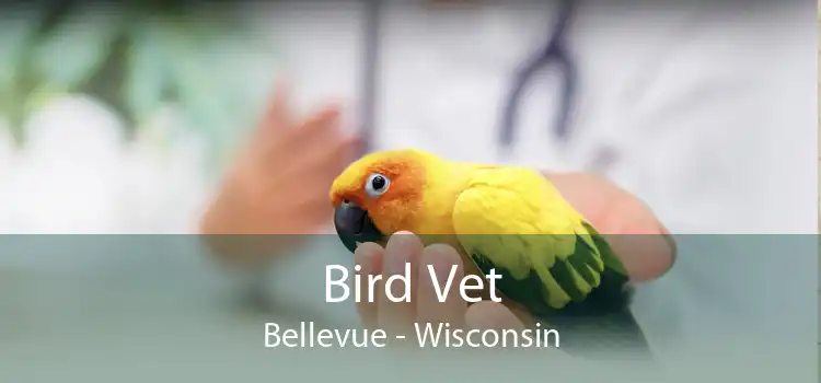 Bird Vet Bellevue - Wisconsin