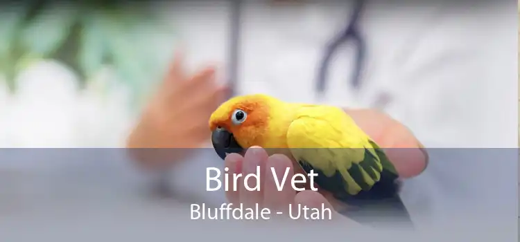 Bird Vet Bluffdale - Utah