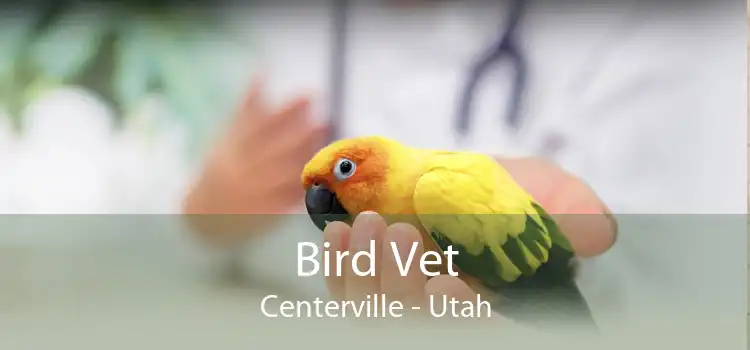 Bird Vet Centerville - Utah