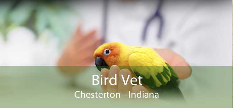 Bird Vet Chesterton - Indiana