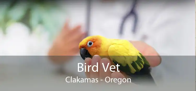 Bird Vet Clakamas - Oregon