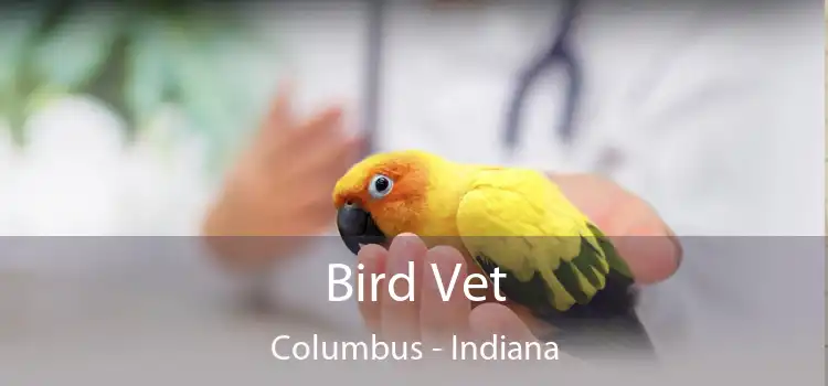 Bird Vet Columbus - Indiana